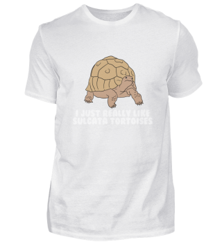 Ich mag Sulcata-Schildkröten einfach sehr