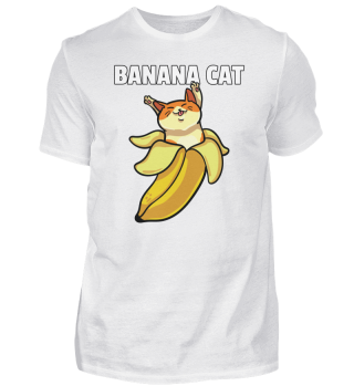 Katze Banane Bananya Kätzchen Haustier
